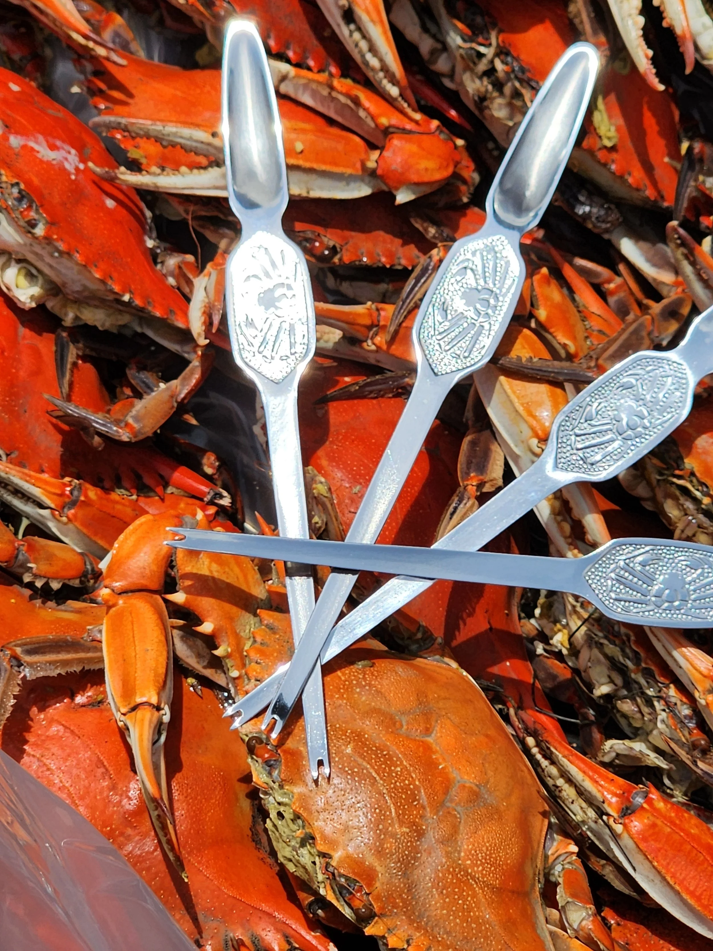 Stainless Steel Crab Pick — Washington Crab